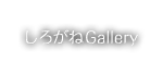 しろがねGallery